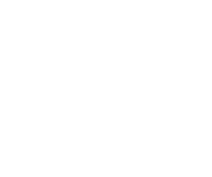 logo-all-whicte-300x250